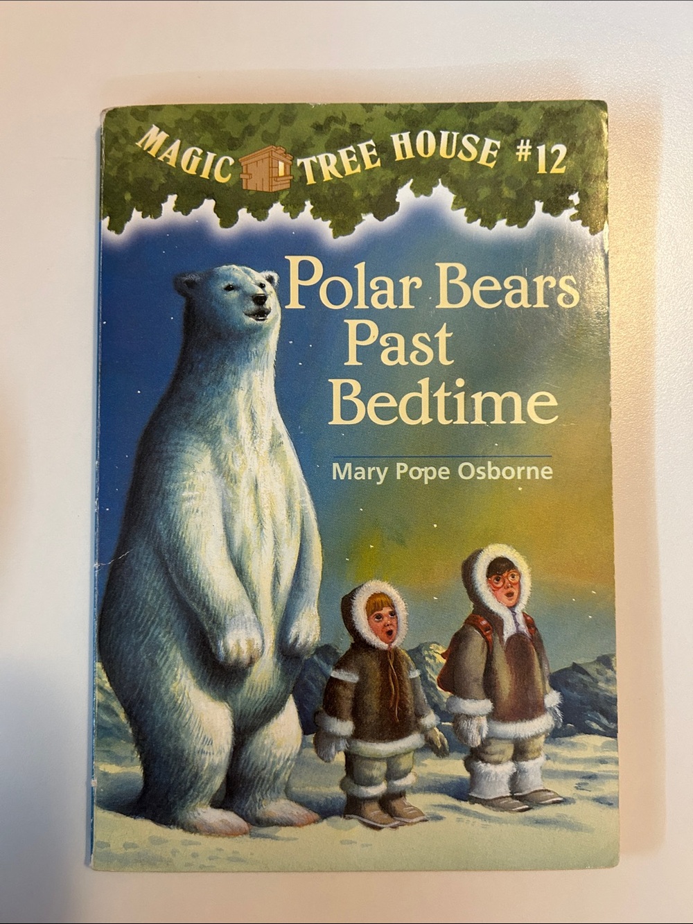 Magic Tree House: Polar Bears Past Bedtime - Kids Book (Blue Cover)